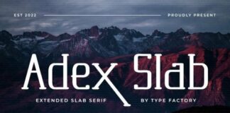 Adex Slab Fonts