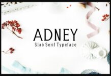 Adney Poster 1