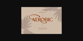 Aerobic Font Poster 1