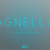 Agnella Extra Light Font