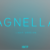 Agnella Light Font