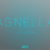 Agnella Thin Font