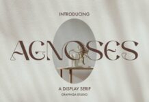 Agnoses Fonts