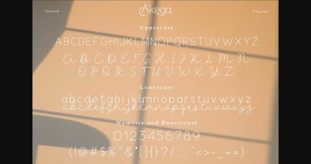 Akega Duo Font Poster 9