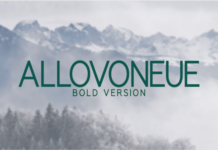 Allovoneue Bold Font