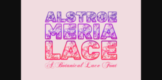 Alstroemeria Lace Font Poster 1