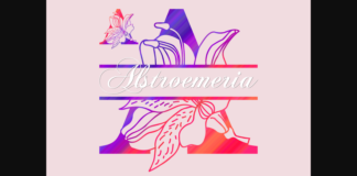 Alstroemeria Split Font Poster 1