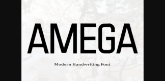 Amega Font Poster 1