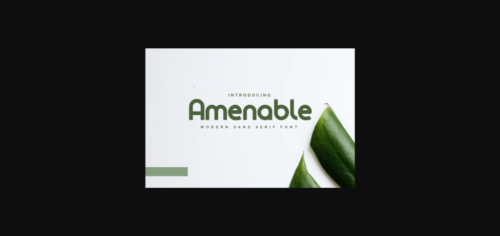Amenable Font Poster 1