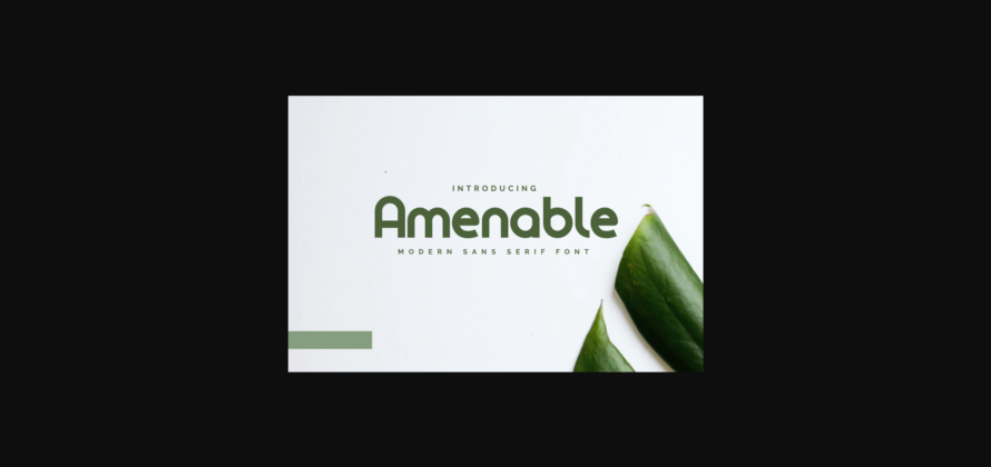 Amenable Font Poster 1