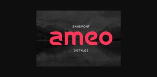 Ameo Font Poster 1