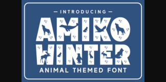 Amiko Winter Font Poster 1