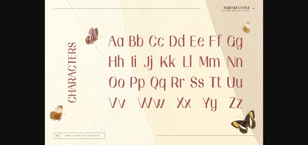 Andenita Font Poster 6