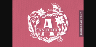 Anecha Font Poster 1