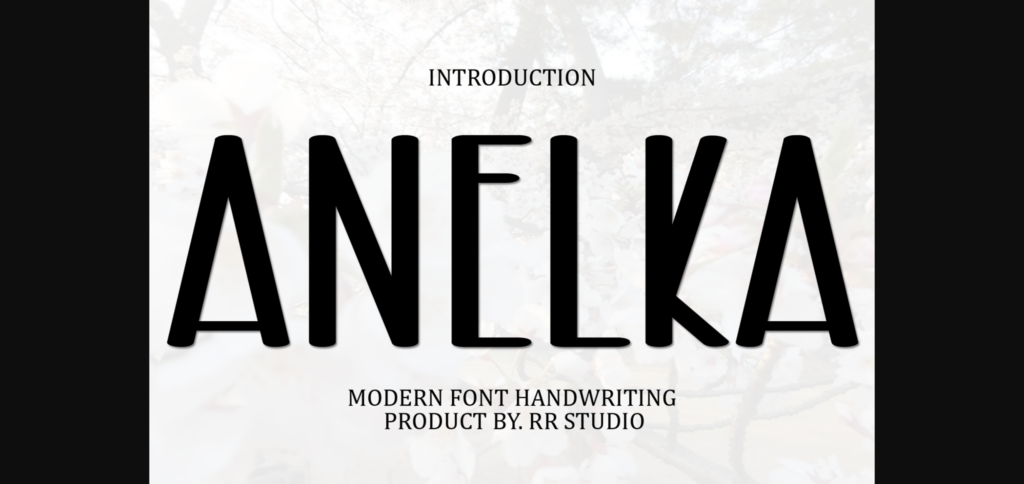 Anelka Font Poster 3