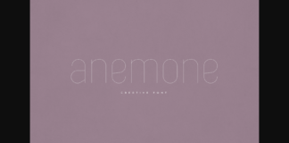 Anemone Font Poster 1