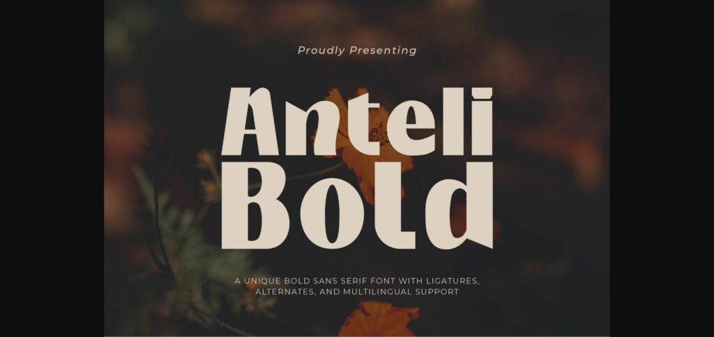 Anteli Bold Font Poster 3