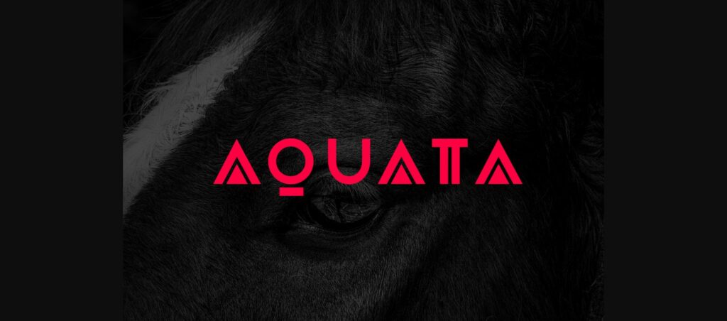 Aquata Font Poster 1