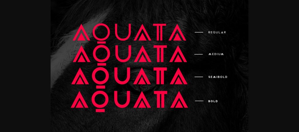 Aquata Font Poster 4