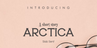 Arctica Fonts