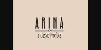 Arina Font Poster 1