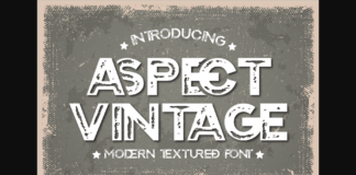 Aspect Vintage Font Poster 1