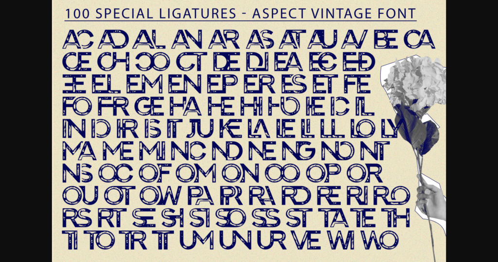 Aspect Vintage Font Poster 10