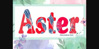 Aster Font Poster 1