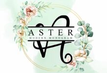 Aster Font Poster 1