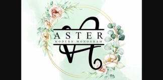 Aster Font Poster 1