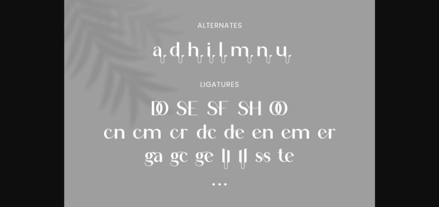 Augent Font Poster 11