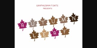 Autumn Leaf Play Font Poster 1