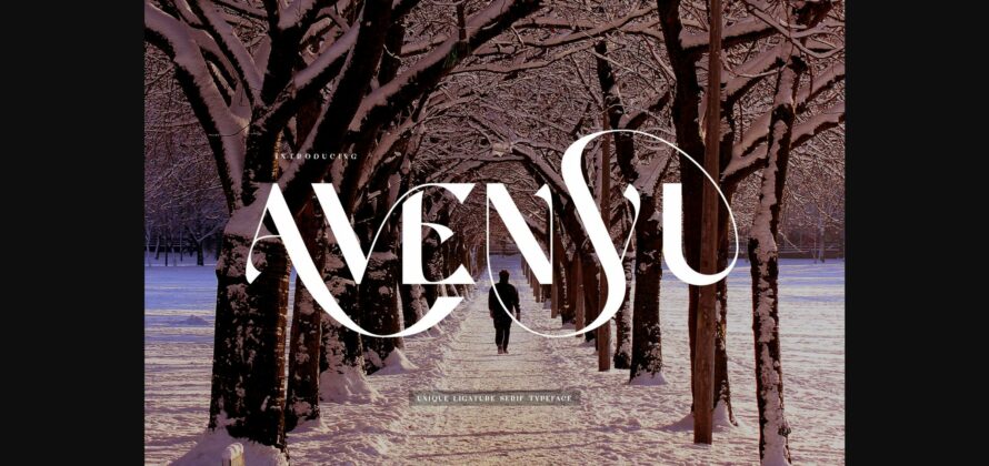 Avenyu Font Poster 3