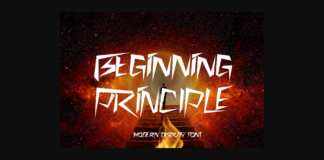 Beginning Principle Font Poster 1