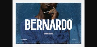 Bernardo Font Poster 1