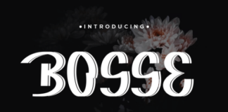 Bosse Fonts