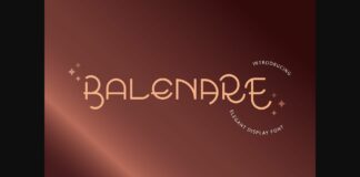 Balenare Font Poster 1