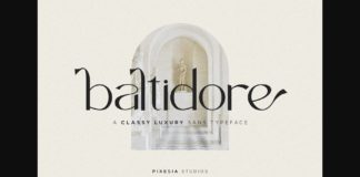 Baltidore Font Poster 1