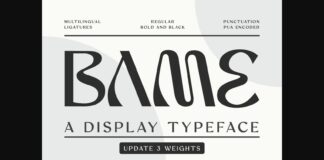 Bame Font Poster 1