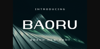 Baoru Font Poster 1