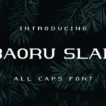 Barou Slab Fonts