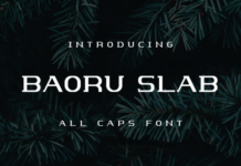 Barou Slab Fonts