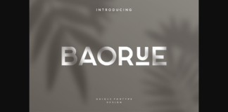 Baorue Font Poster 1