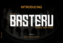 Basteru Fonts