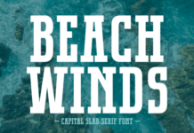 Beach Winds Font