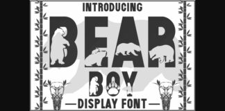 Bear Boy Font Poster 1