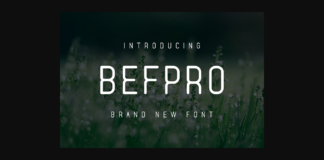 Befpro Font Poster 1