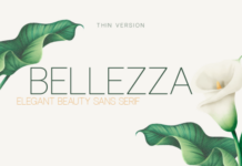 Bellezza Thin Fonts