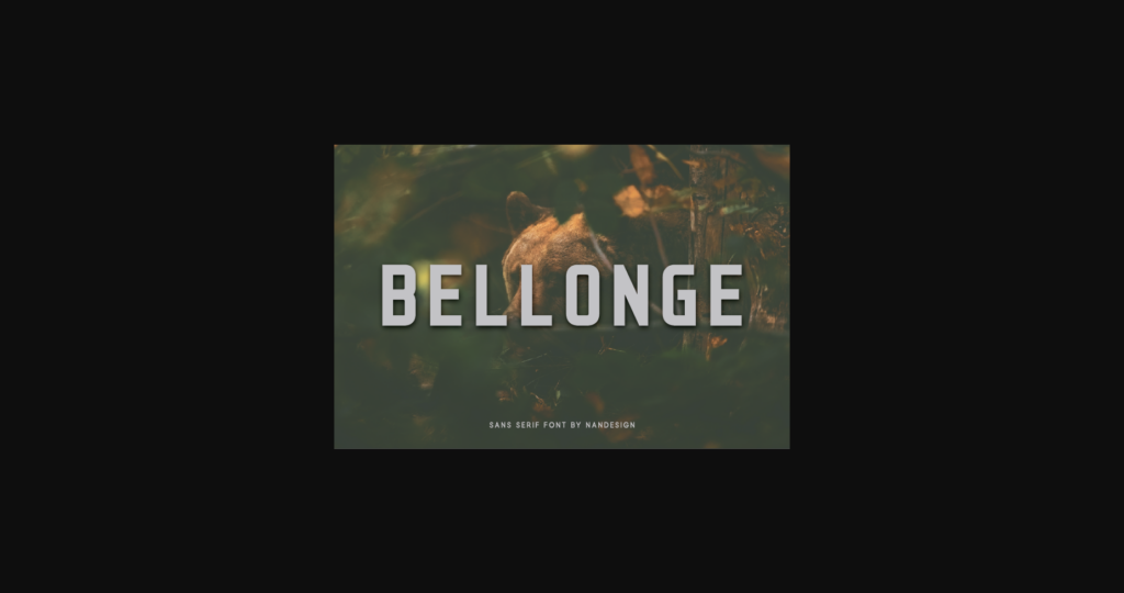 Bellonge Font Poster 3