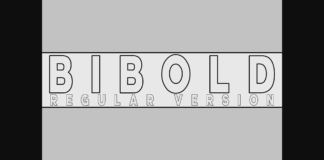 Bibold Outline Font Poster 1